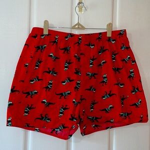 Red Christmas Dinosaur Boxer Shorts